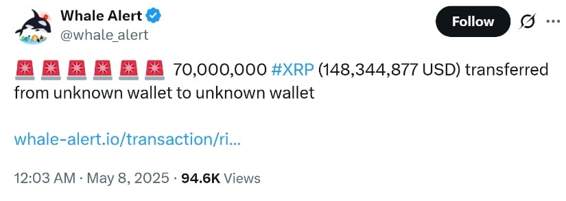 Whale Alert 
