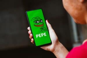 PEPE vs APORK, Elon Musk meme coin, best meme coin to buy 2025,