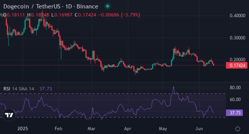 Dogecoin (DOGE)
