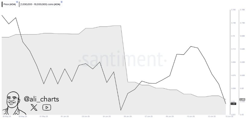 Selling Pressure Mounting By Whales