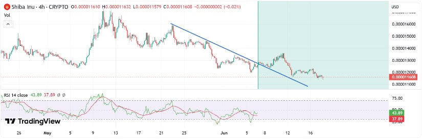 Oversold Indicators Hint at Reversal Potential
