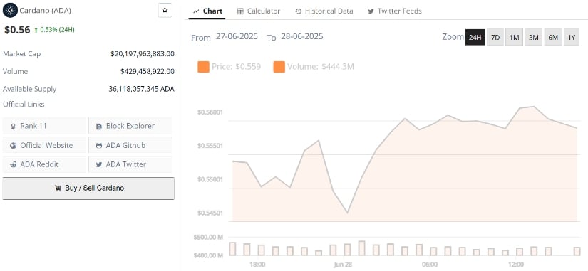 Mixed Signals Emerge as ADA Faces Pressure From Bears and Bulls Alike