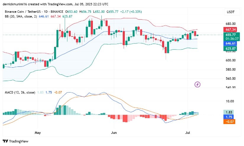 Momentum Builds as Indicators Signal Recovery Potential