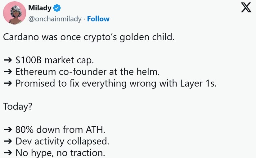  omnchainilady