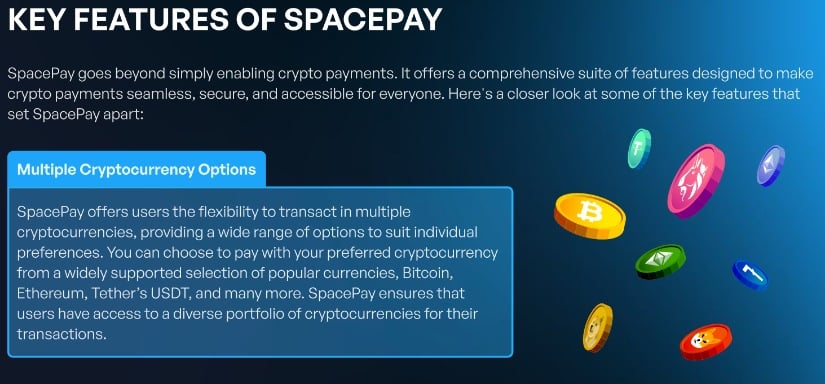 SpacePay features.