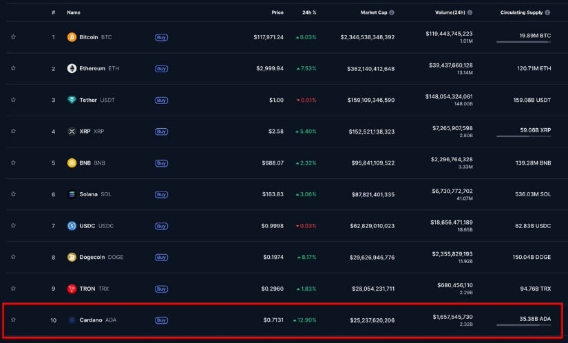 Cardano Tops the Charts With Best Daily Performance