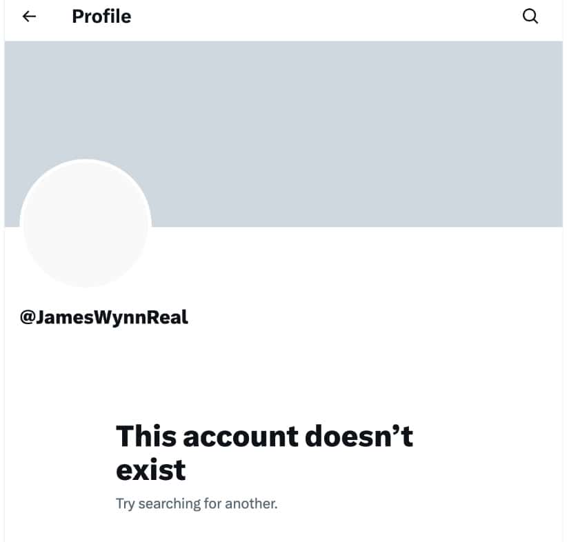 James Wynn Loses Millions, Deletes X Account: How Snorter Bot Helps to Minimize Losses