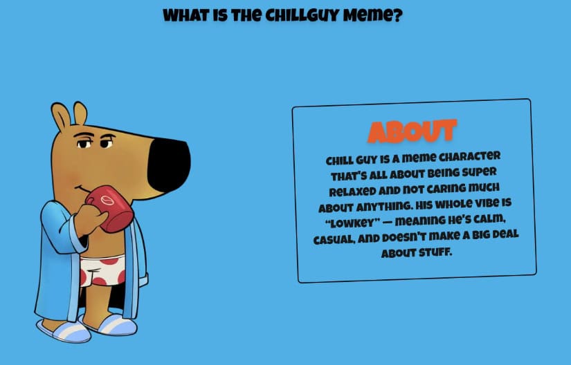 Just A Chill Guy explanation