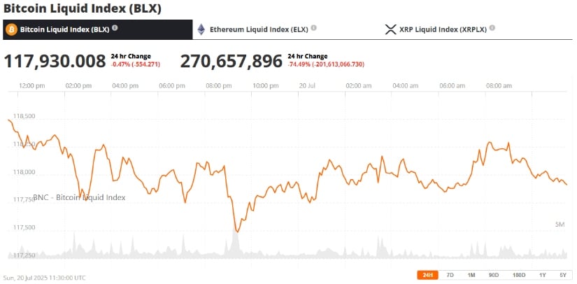 Bitcoin Halving 2025 and Whale Accumulation Could Fuel Rally