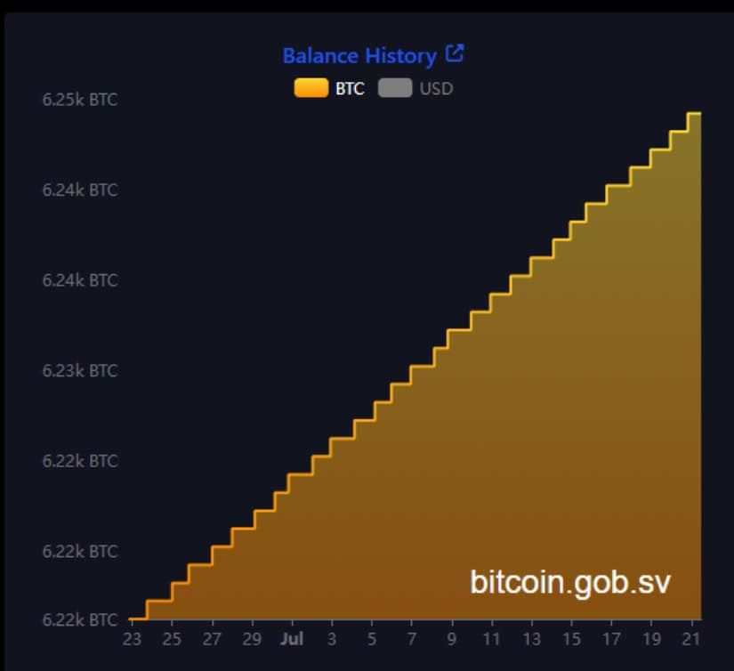 Purported balance for El Salvador’s bitcoin reserve.