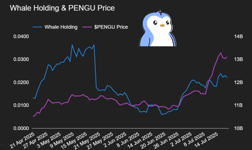 Whale Accumulation Signals Confidence Behind the PENGU Rally