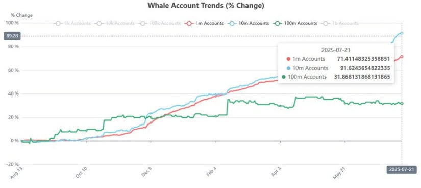 Whale Wallet Growth Signals Institutional Confidence