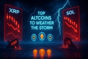 Top 3 Altcoins to Buy Cheap as Crypto Market Is Down Today
