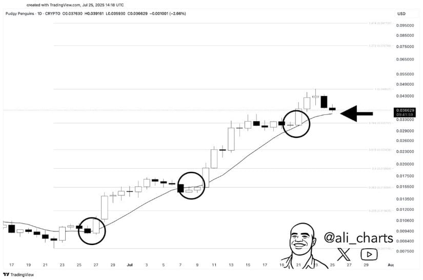 PENGU Riding the 10-SMA Wave