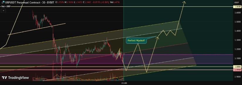 crypto rollercoaster