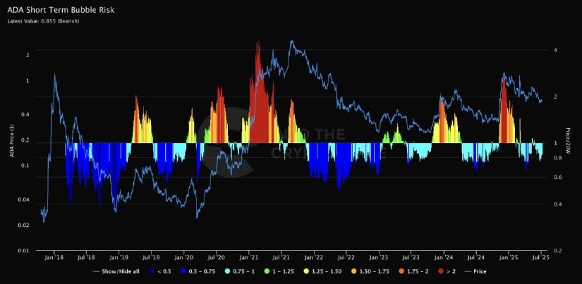 Into The Cryptoverse