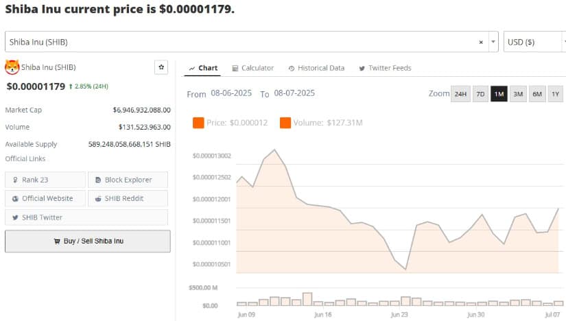 The Bigger Picture: Shiba Inu and the Meme Coin Market