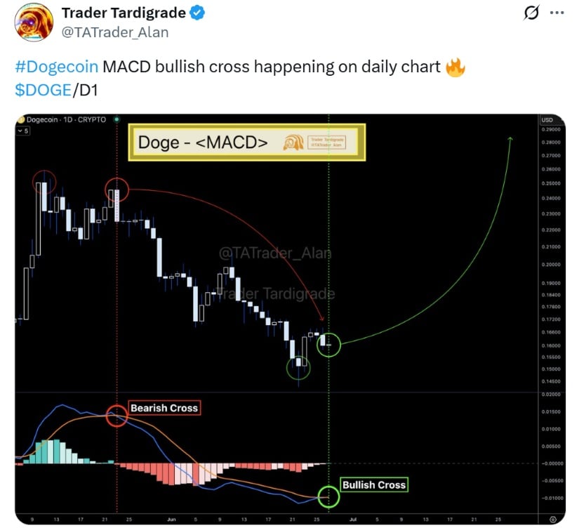 Trader Tardigrade
