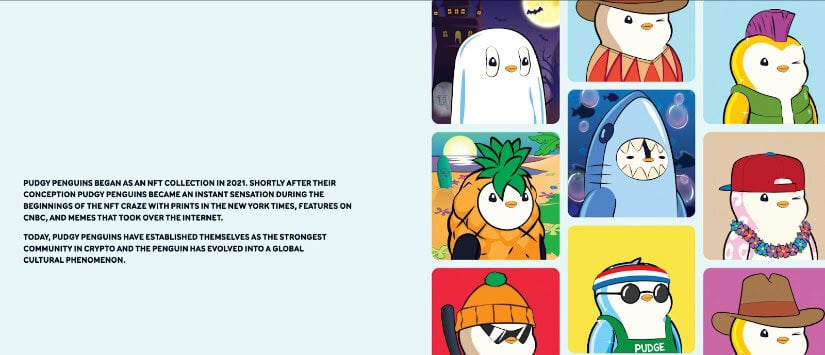 Pudgy Penguins explanation. Source: Pudgy Penguins