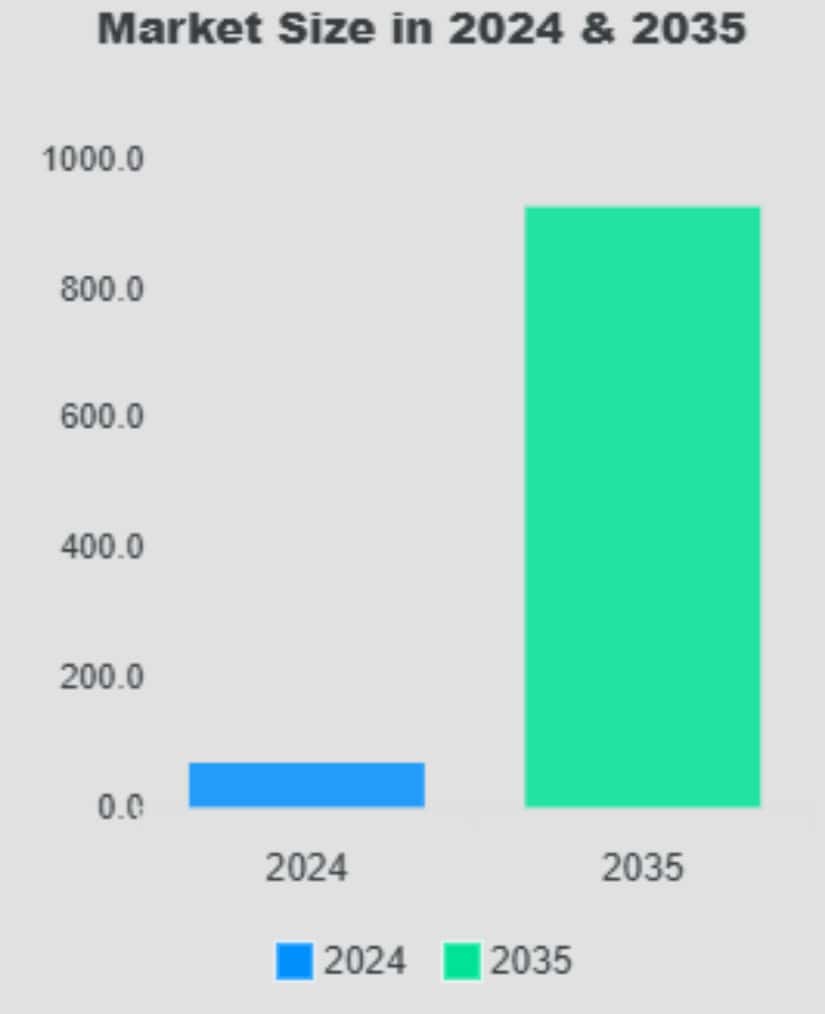 Meme coin market size in 2024 and 2035.