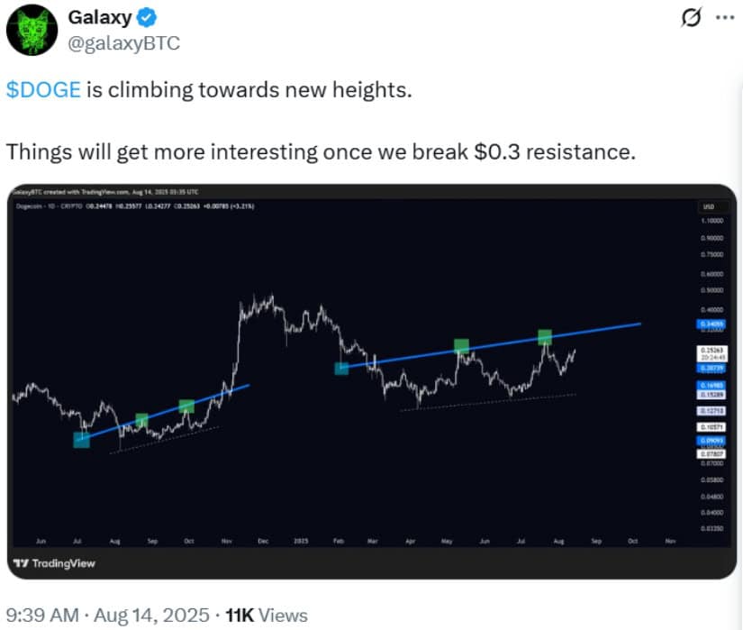Analyst Projections: Is $1 Realistic?