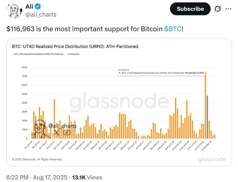 Bitcoin Halving 2025 and Whale Activity