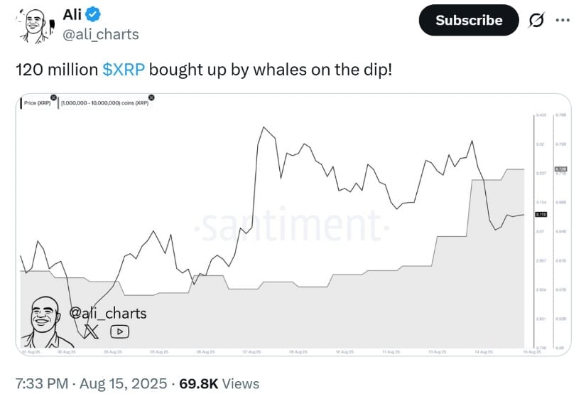 Market Overview: Whale Demand Supports XRP