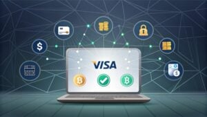 Visa Payment adds new stabelines and blockchain networks to the platform