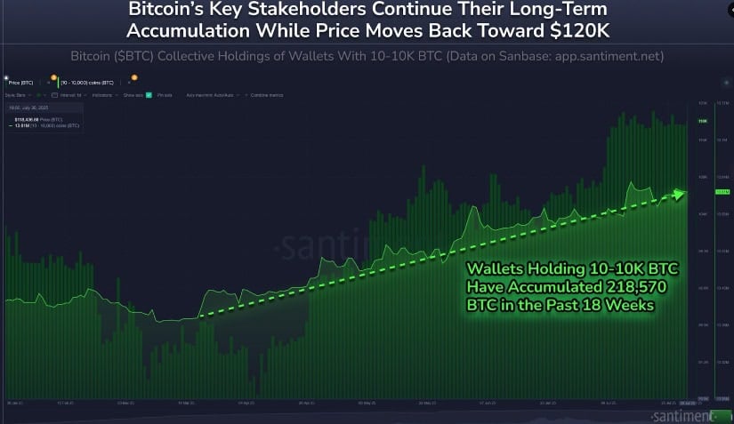 Large-scale investors continue BTC accumulation