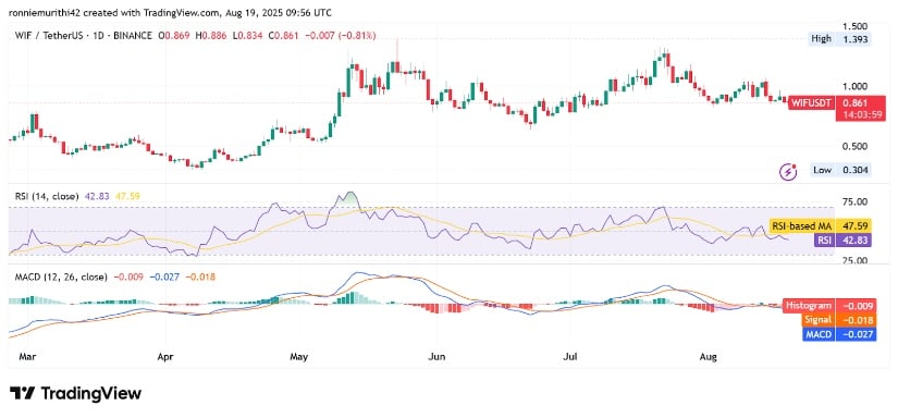 Momentum Indicators Present Mixed but Optimistic Signals