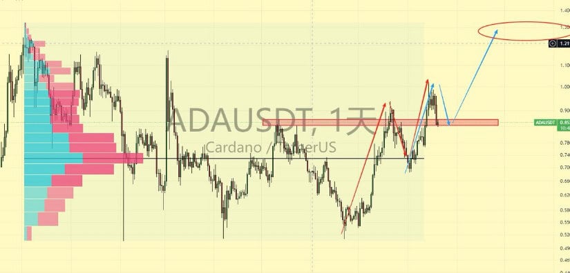 Cardano’s Critical Levels in Focus