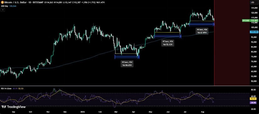 Trend and News Factors: Whales, ETFs, and Market Catalysts