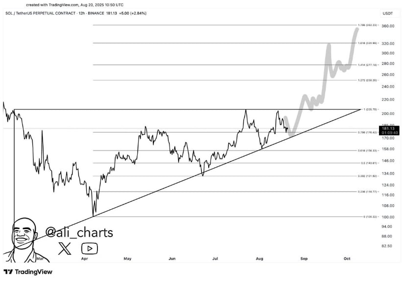 Solana Price Prediction: Eyes on the $360 Breakout