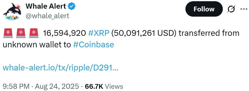 XRP Price Prediction: What Drove Ripple Price Below  and Where Could It Go Next?