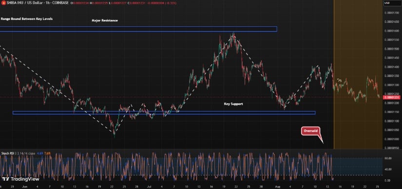 Technical Levels and Potential Rally Targets