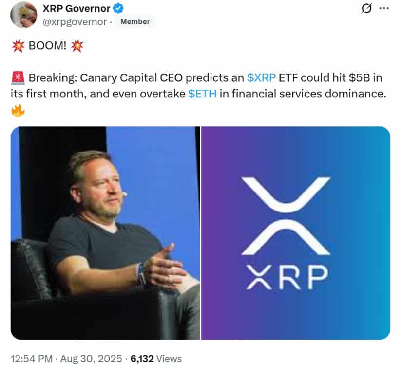 Institutional Interest and ETF Speculation