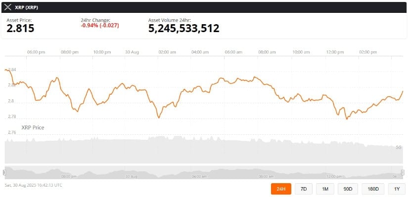 Institutional Interest and ETF Speculation