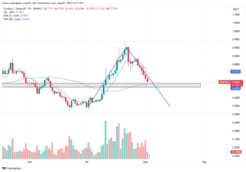 Cautious Short-Term Outlook: Cardano Price Tests Important Support