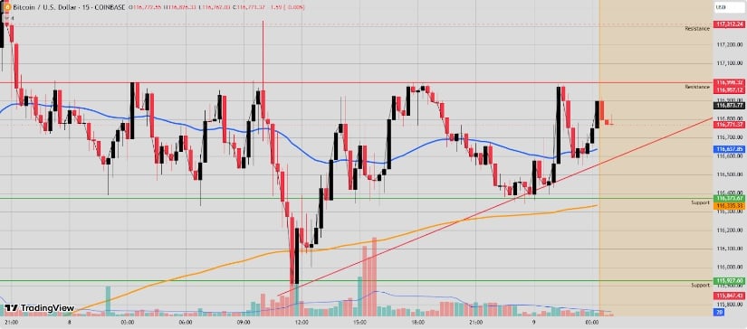 Paper_Trader1775