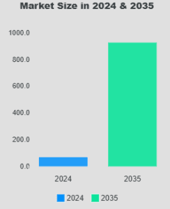 Meme coin market size in 2024 and 2035