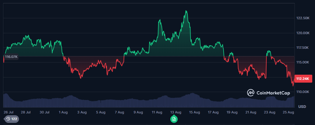 Bitcoin volatility