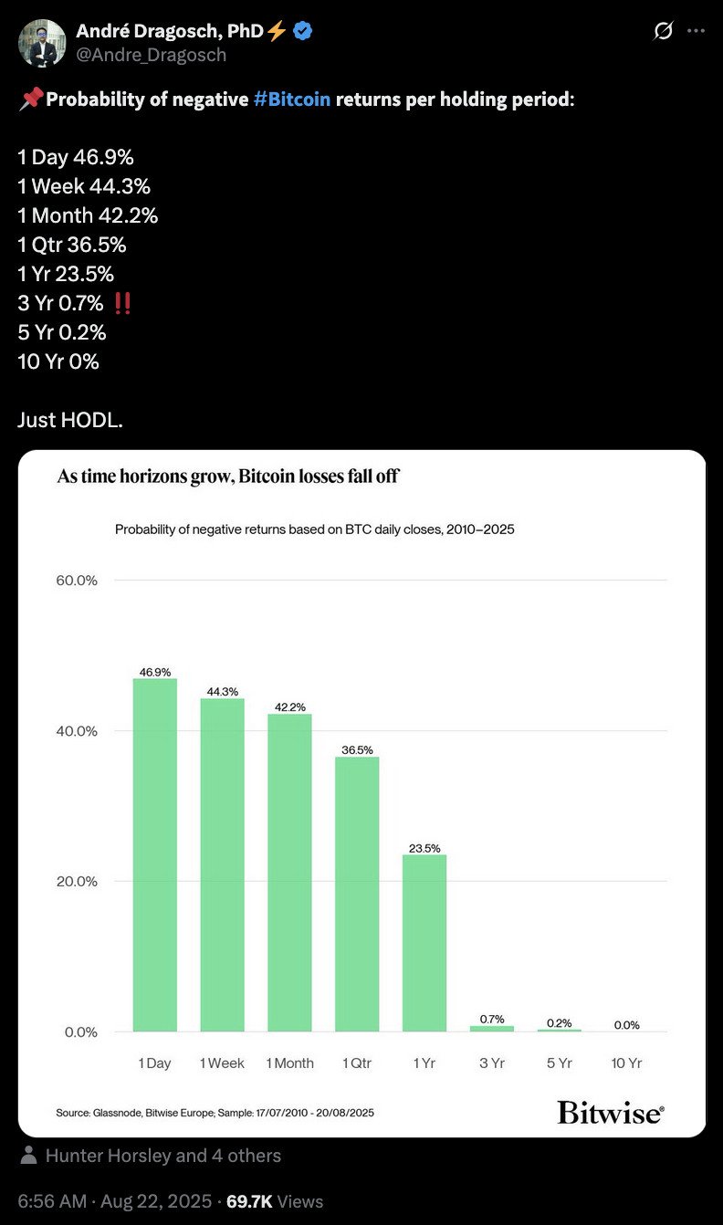 negative bitcoin returns post on X.