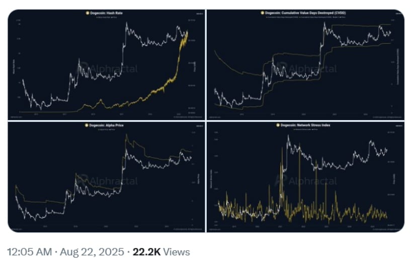 Institutional Demand Fuels Accumulation