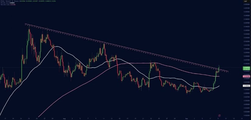 Analyst Jesse Peralta Highlights Emerging Golden Cross