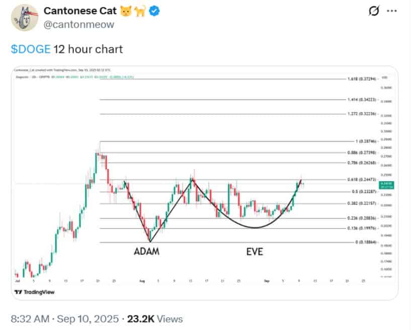 Dogecoin Price Prediction and Long-Term Considerations