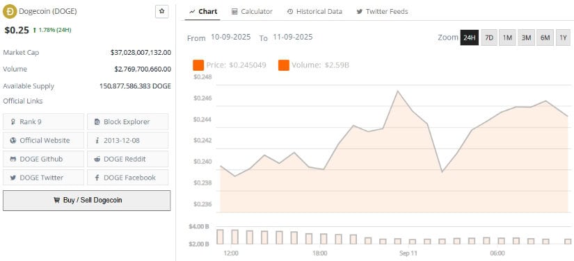 Dogecoin Price Prediction and Long-Term Considerations