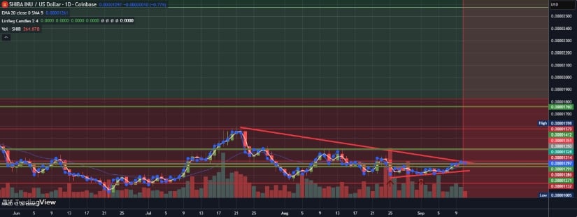 Shiba Inu Price Forecast: What's Next?