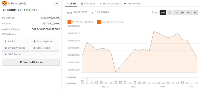 Shiba Inu Price Forecast: What's Next?