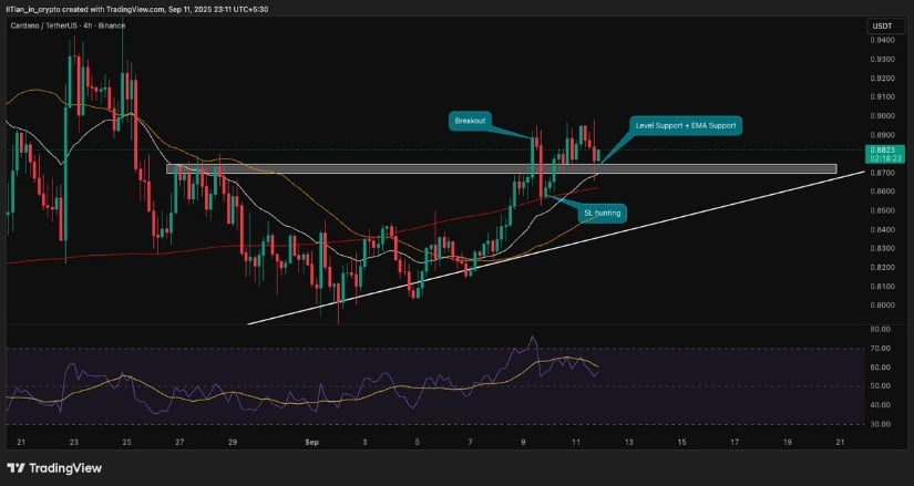 Support Zone Chart