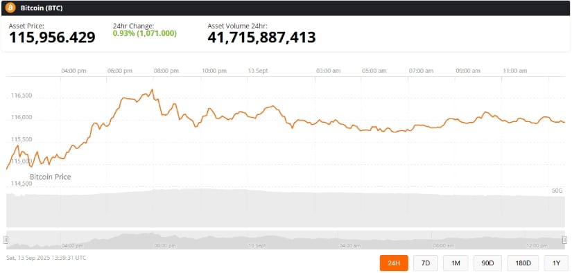 BTC Price Overview